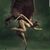Cassandra Joy Baumgartner's profile image