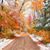 Cindy Gjestrum Neely's profile image