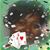 KeeShauna Carter's profile image