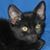 Kat Green's profile image