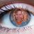 Tammy Freeman Peters's profile image