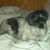 Kevin Menard's profile image
