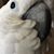Cheryl Hitter's profile image