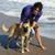 Jennifer Brendecke's profile image