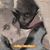 Jamie Lee Carroll's profile image