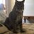 Vicky Rene Gammill's profile image