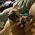 Debbie Arrington-Griffith's profile image