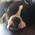 Christa Bonds's profile image