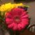 Leslie Pawlik's profile image