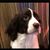 Ruth Braasch's profile image