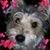 Marty Obermeyer's profile image