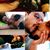 Lobo López's profile image
