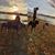 Jessica Najera Rocha's profile image