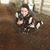 Paisha Glisson's profile image