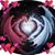 Christina Aleridge's profile image