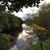 John C Paice's profile image