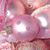 Rebecca Davis's profile image