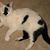 Susan Nancarrow's profile image