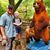 Dan Dix's profile image