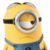 Jay Vennebush's profile image