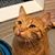 Yuliya Guz's profile image