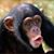 Joseph J Madero's profile image