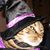 Barbara Schuima's profile image
