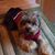 Sue Poling's profile image