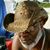 Guy Philbert's profile image