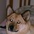 Geri Galindo's profile image