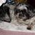 Mark Jurgensmeyer's profile image