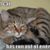 Deborah L. Helms's profile image