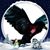 Barry Stitely's profile image
