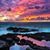 Elizabeth Richards's profile image