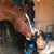 Kim Howley-English's profile image