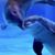 Lesley Blaney's profile image