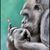David Phillips's profile image