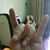 Budi Haryono's profile image