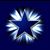 David B Najar's profile image