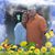 Kathie Greenwood's profile image