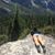 Allegra Phox Thayer's profile image