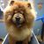 Cindy Read Bulmer's profile image