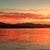 Carol Linscott's profile image