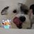 Judy Elliott's profile image