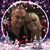 Pam Culbert-Driscoll's profile image