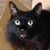 Rose Weitz's profile image