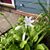 Leeza M. McCormick's profile image