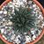 Kathleen Murray Revoir's profile image