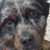 Rita Hammer Hunt's profile image
