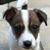 Rebecca Williams's profile image